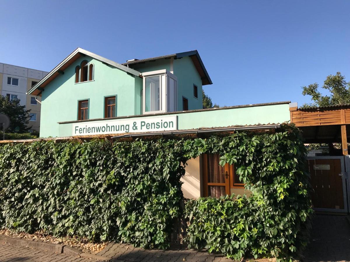 Pension Stepponat アルンシュタット エクステリア 写真